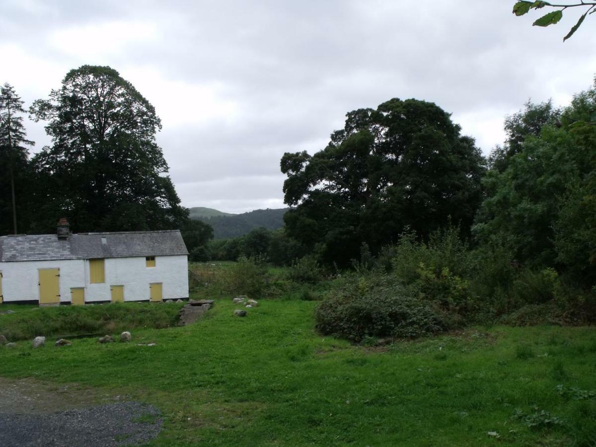 Cosy Ground Floor Disabled Friendly Room In Farm House Llandderfel ภายนอก รูปภาพ